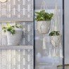 Illustration vectorielle Renard